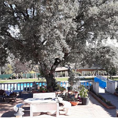 Lovely Home, Cozy Corner In El Bosque, Madrid. 비야비씨오사데오돈 외부 사진